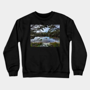 Looking Out Crewneck Sweatshirt